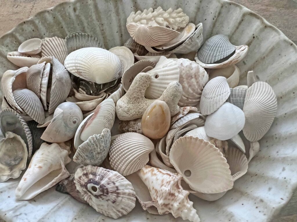 sea shell napkin ring DIY