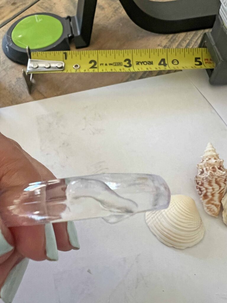 sea shell napkin ring DIY