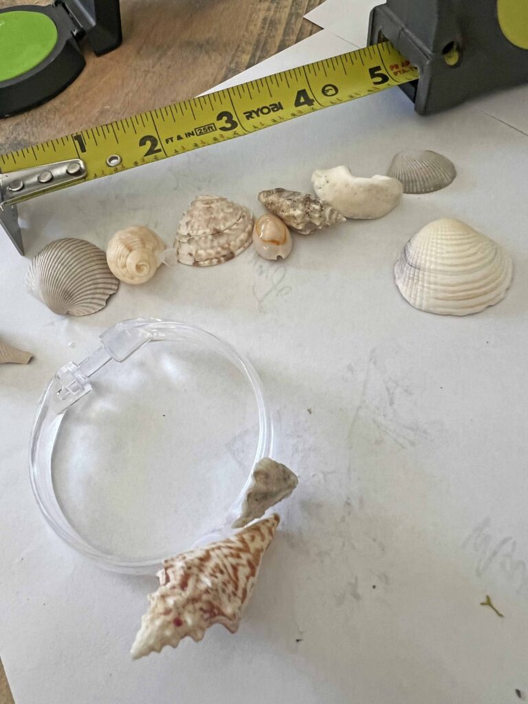 sea shell napkin ring DIY