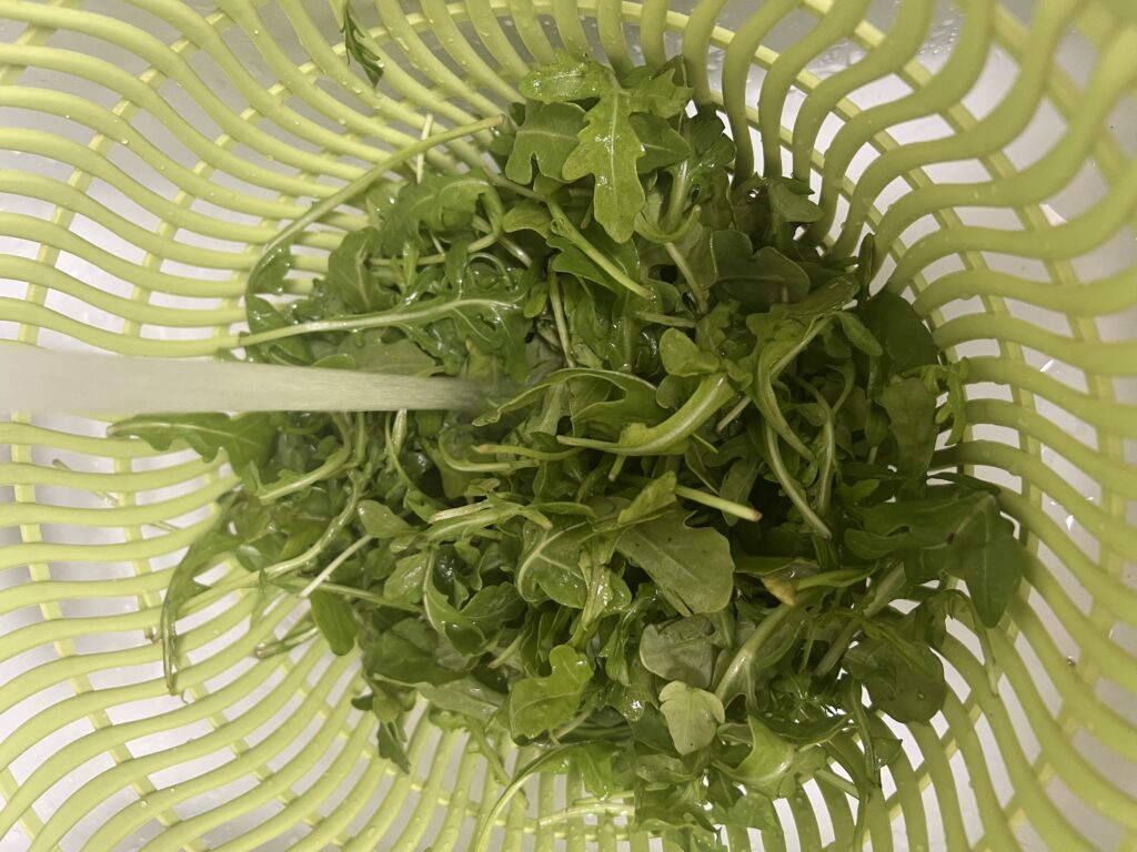 arugula, brûlée fig, prosciutto and burrata salad recipe