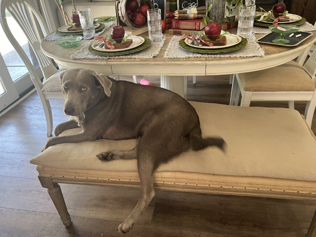 back to school tablescape