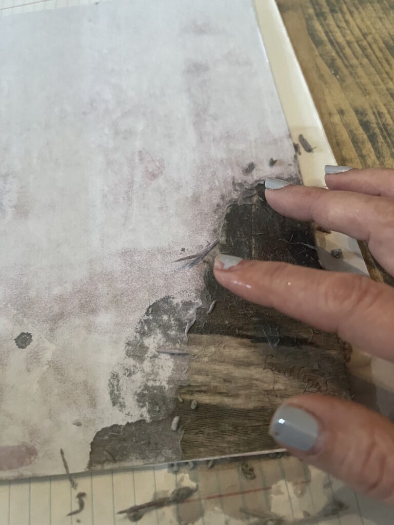 Halloween artwork hacks using Dollar Tree Canvases