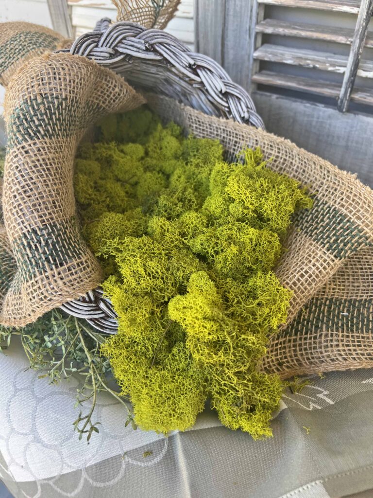 Styling a monochramatic cornucopia