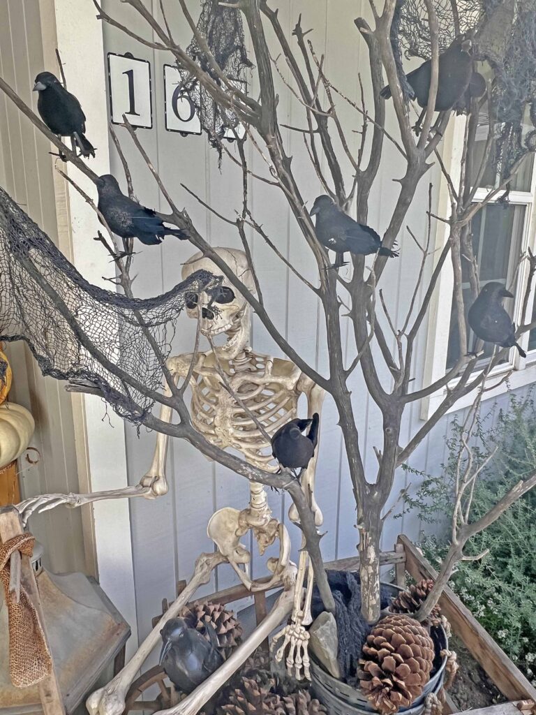 halloween outdoor decor details