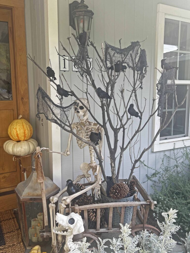 halloween outdoor decor details