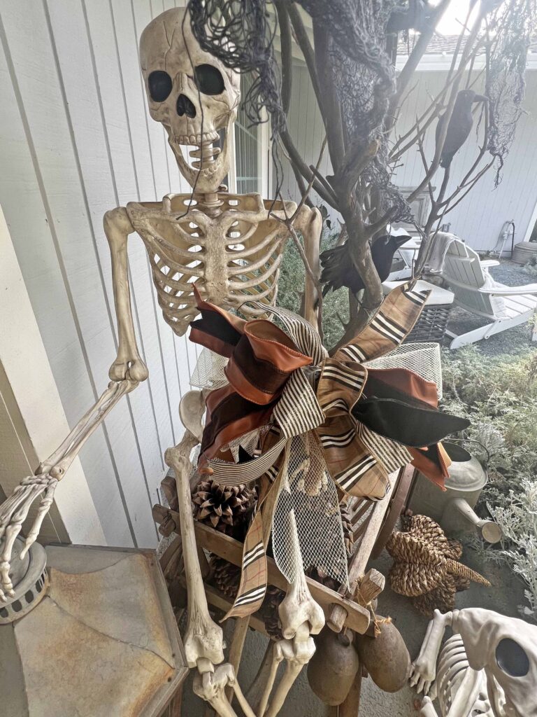 halloween outdoor decor details