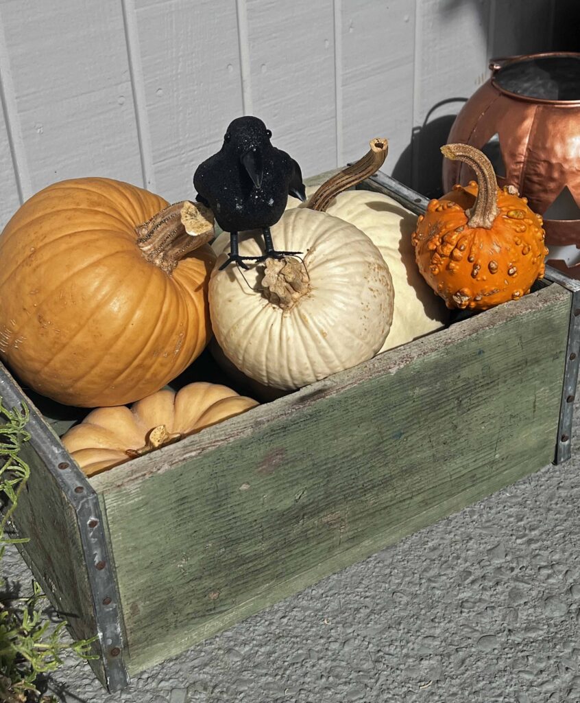 halloween outdoor decor details