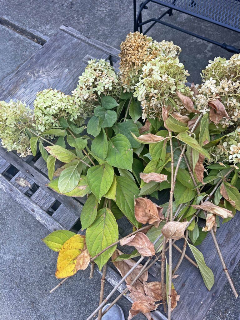 organic hydrangea wreath DIY