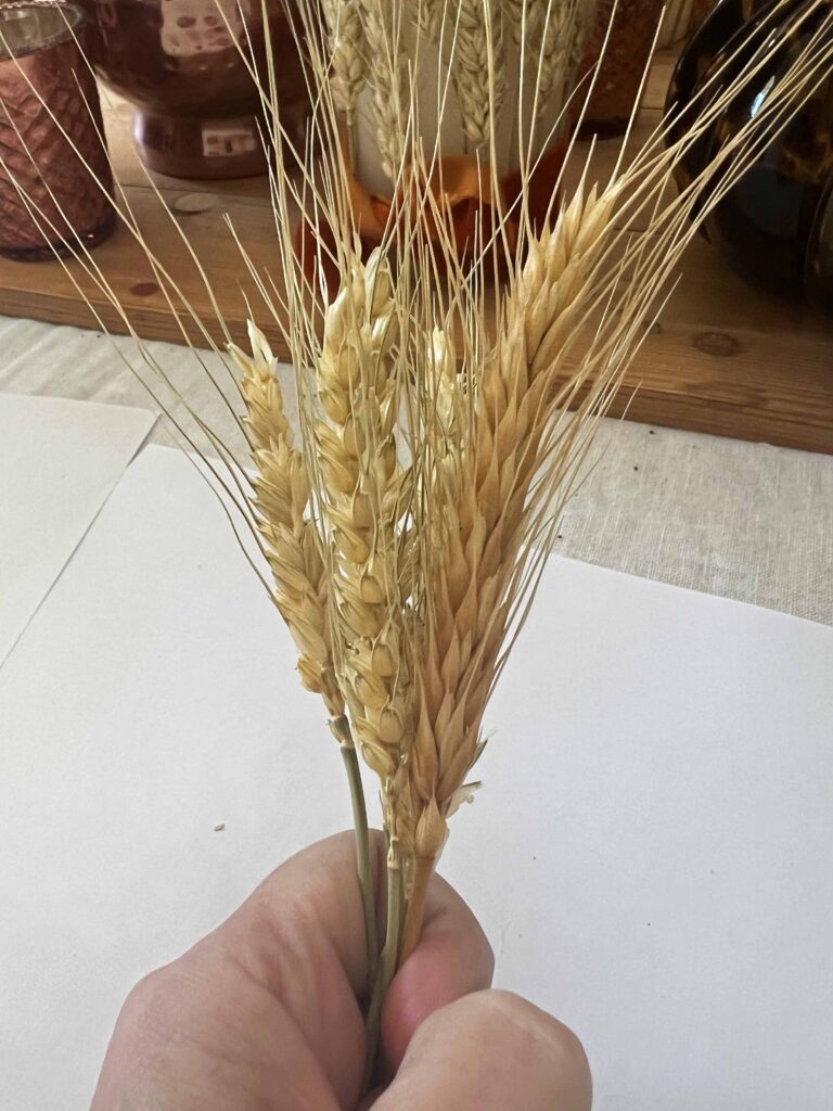 wheat napkin ring DIY