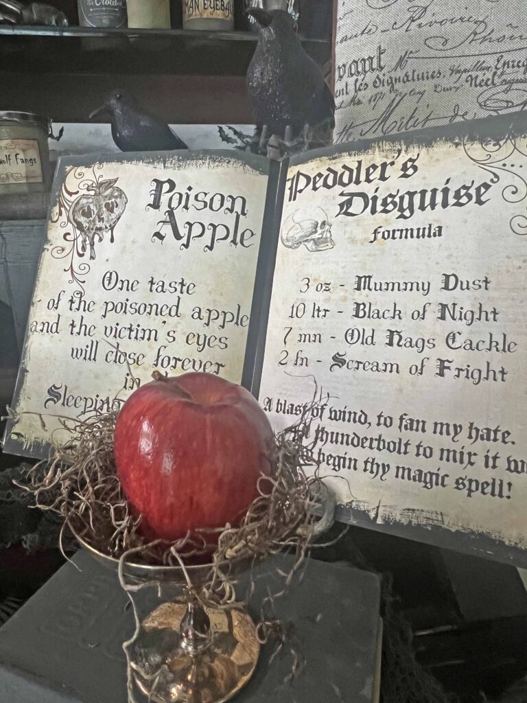 witchcraft apothecary cabinet