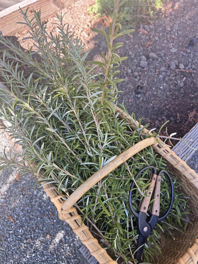 fabulous charcuterie edible wreath