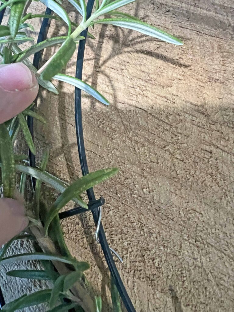 fabulous charcuterie edible wreath