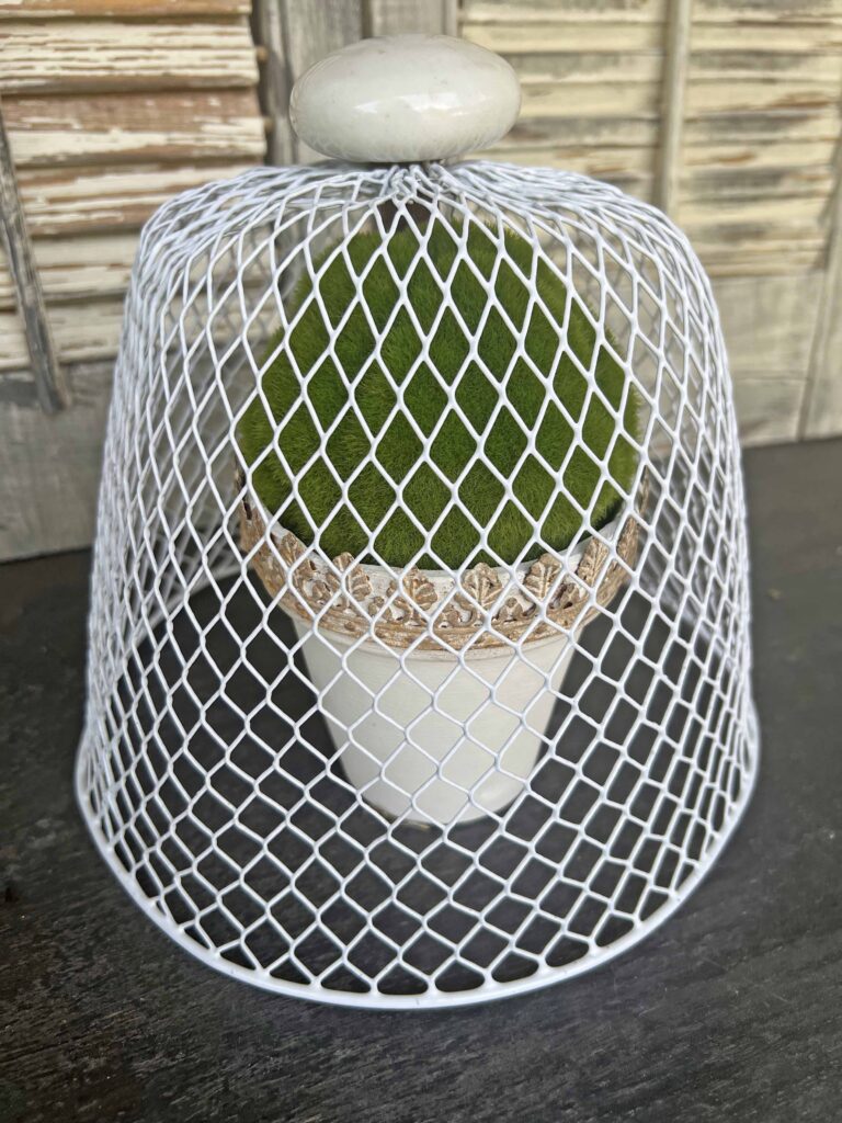 wire cloche DIY from DT garbage can