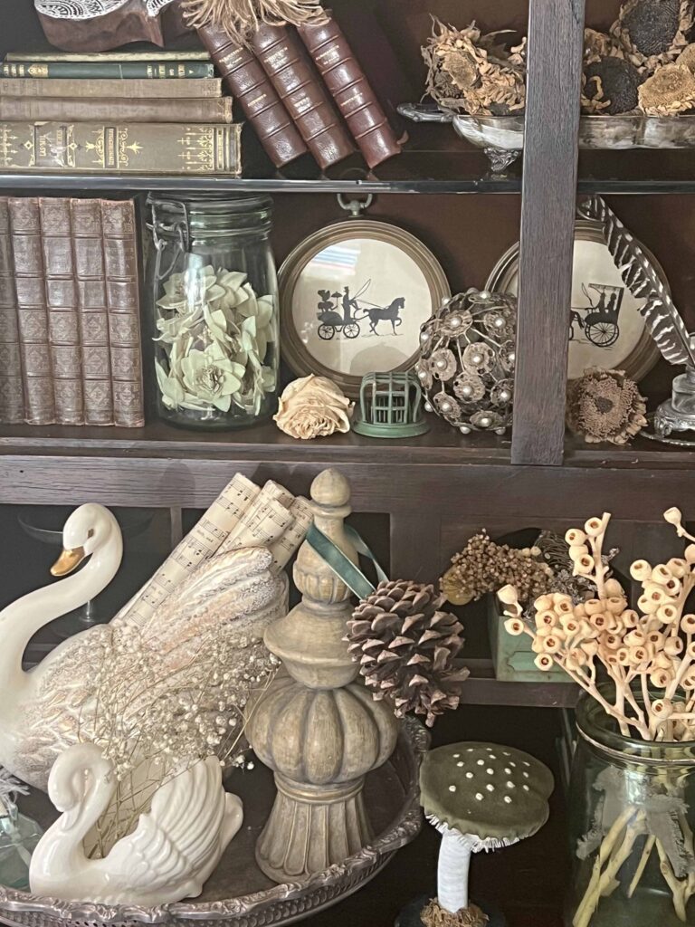 how to style a cabinet of curiosities