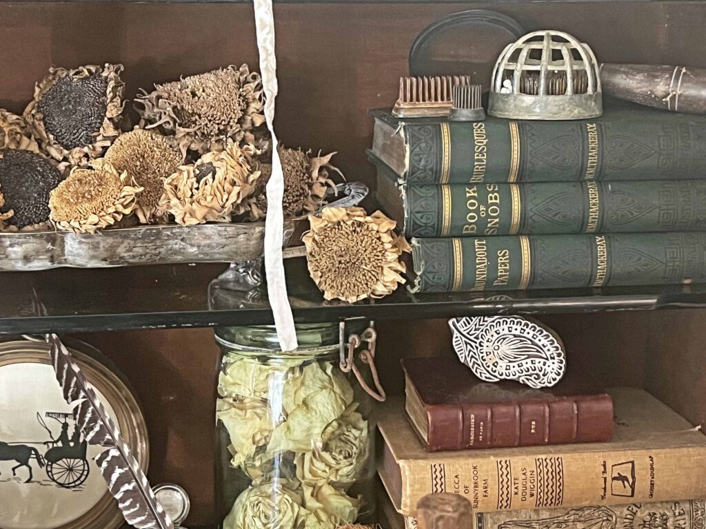 how to style a cabinet of curiosities