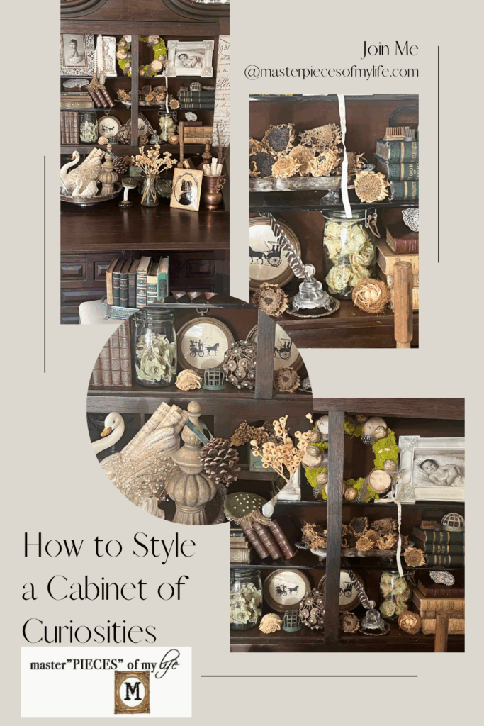 how to style a cabinet of curiosities