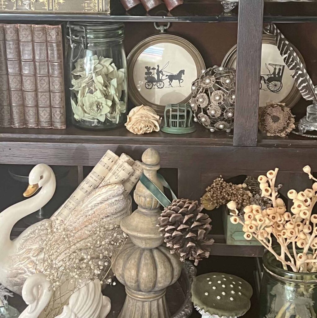how to style a cabinet of curiosities