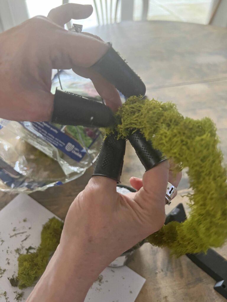 repurpose indoor plant trellis