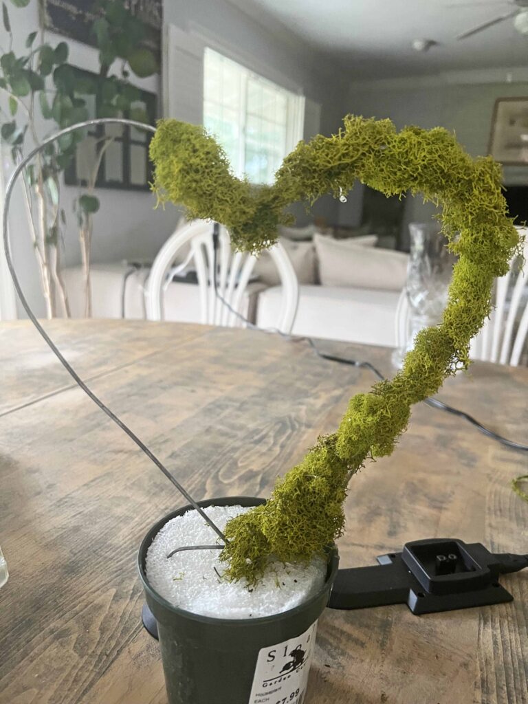 repurpose indoor plant trellis