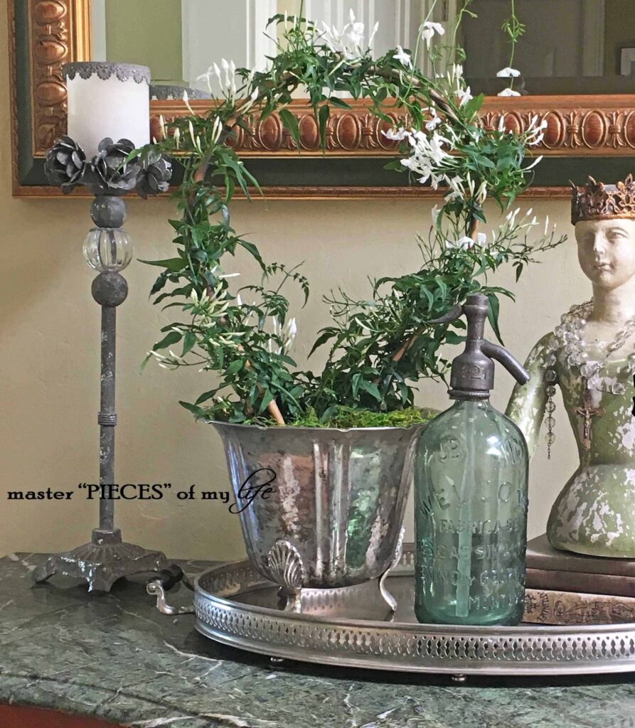 repurpose indoor plant trellis