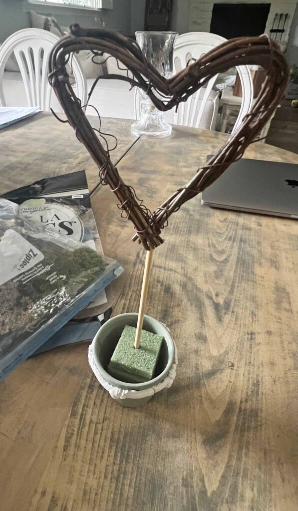 repurpose indoor plant trellis