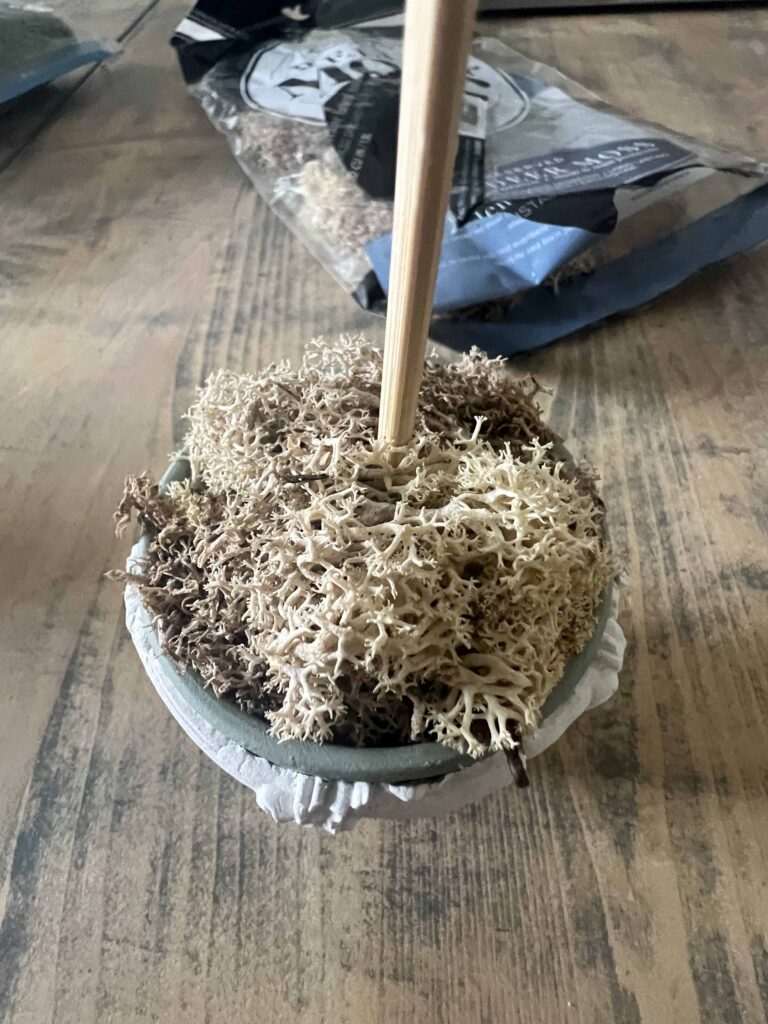 repurpose indoor plant trellis