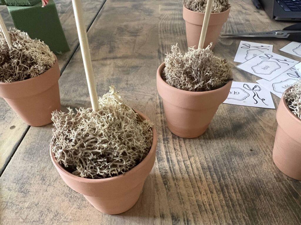 Valentine's Day table with Heart Topiary Place Cards