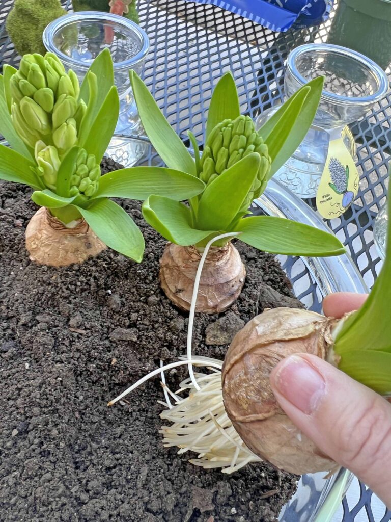 Easter Vintage Garden Container