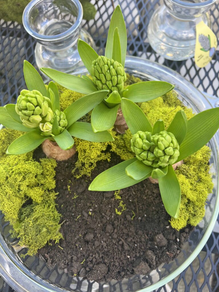 Easter Vintage Garden Container