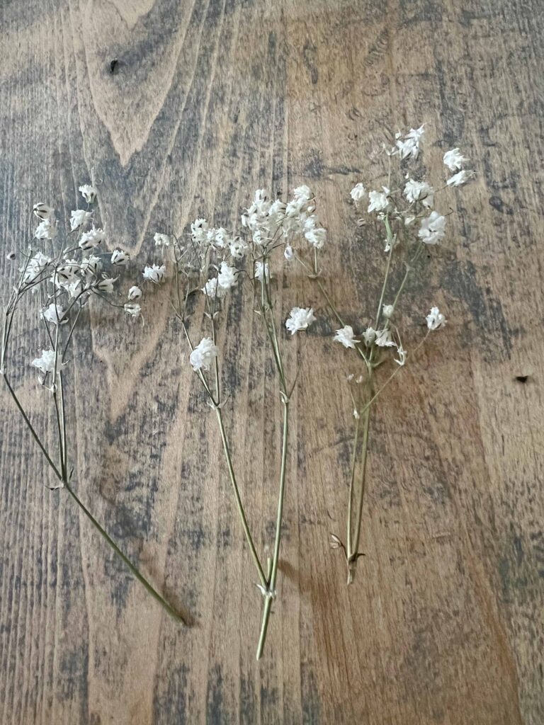 moss bunny mini cloche DIY