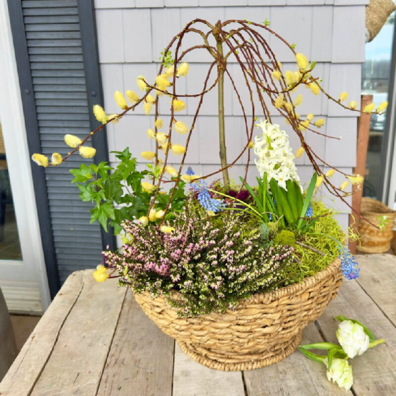 basket of spring floers