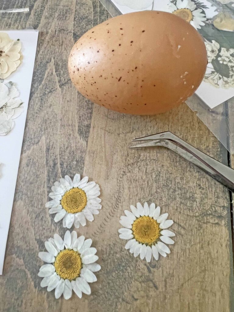 Easter egg DIY with pressed flowers