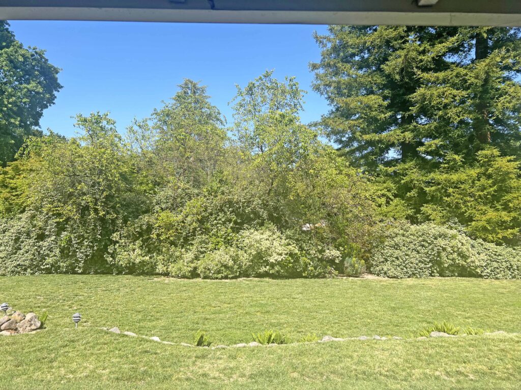 landscape projects DIY for your garden