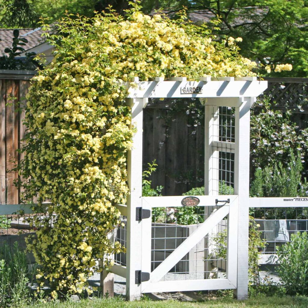 landscape projects DIY for your garden