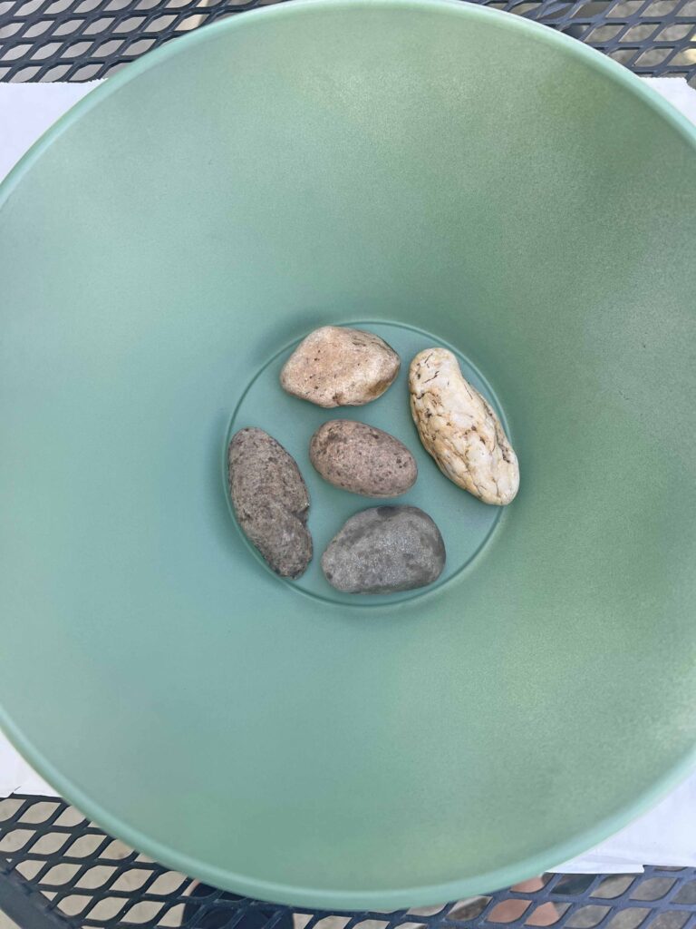 moss bunny DIY using Dollar Tree Bowls