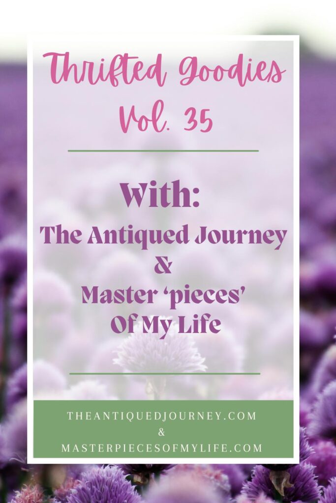 thrifted goodies graphic 35