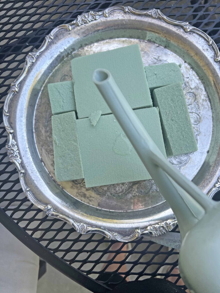 how to create a glass cloche display with fresh fern fronds