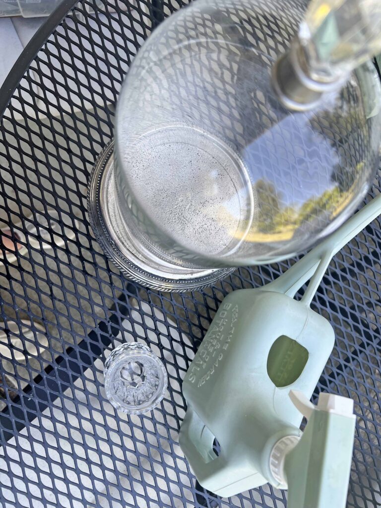how to create a glass cloche display with fresh fern fronds