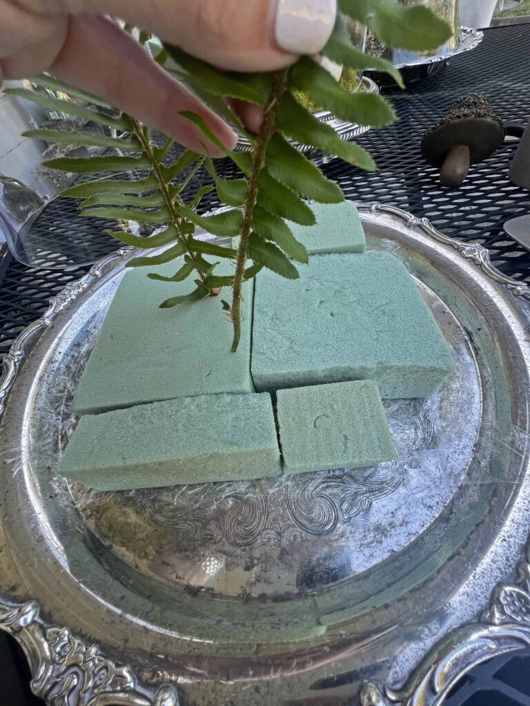 cloche fern fronds 10