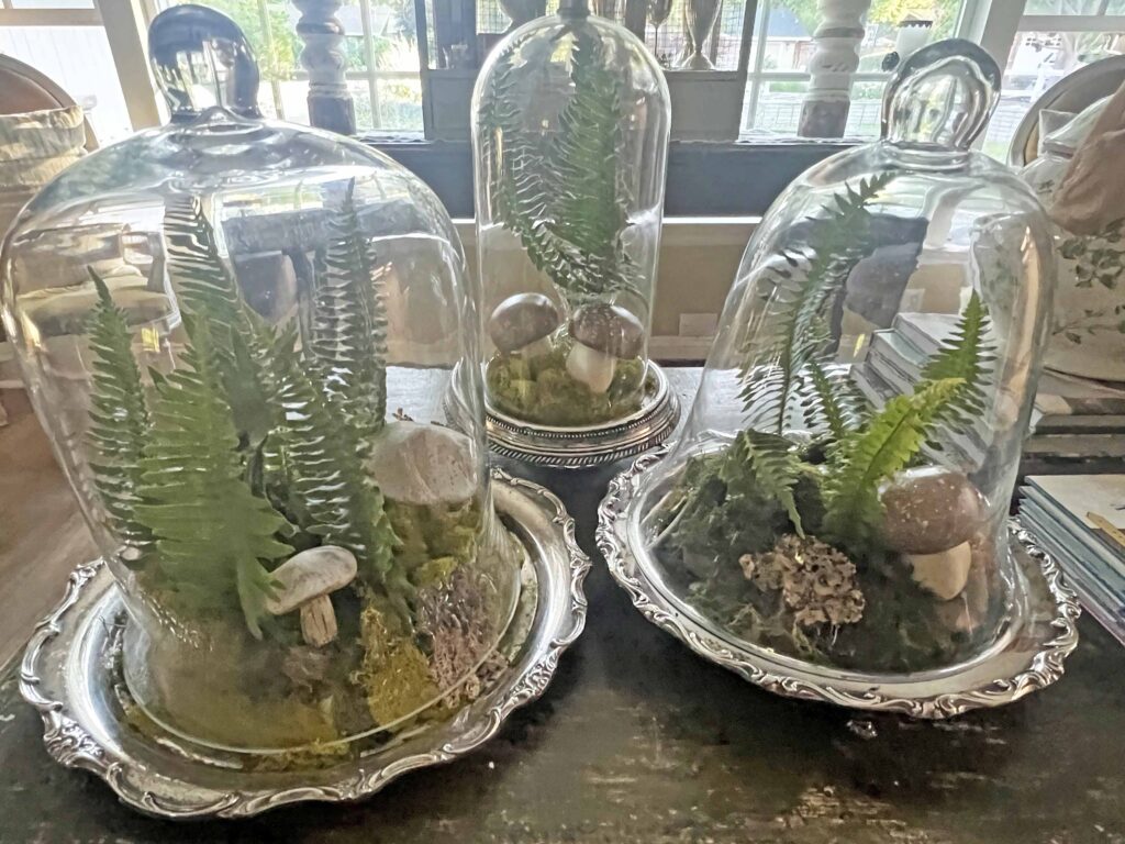 how to create a glass cloche display with fresh fern fronds