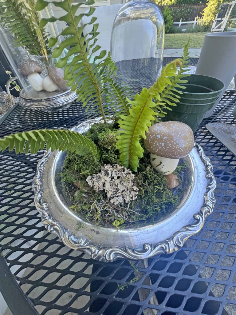 how to create a glass cloche display with fresh fern fronds