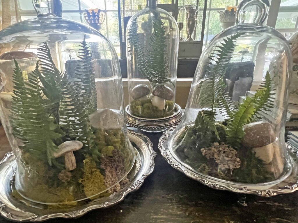 how to create a glass cloche display with fresh fern fronds