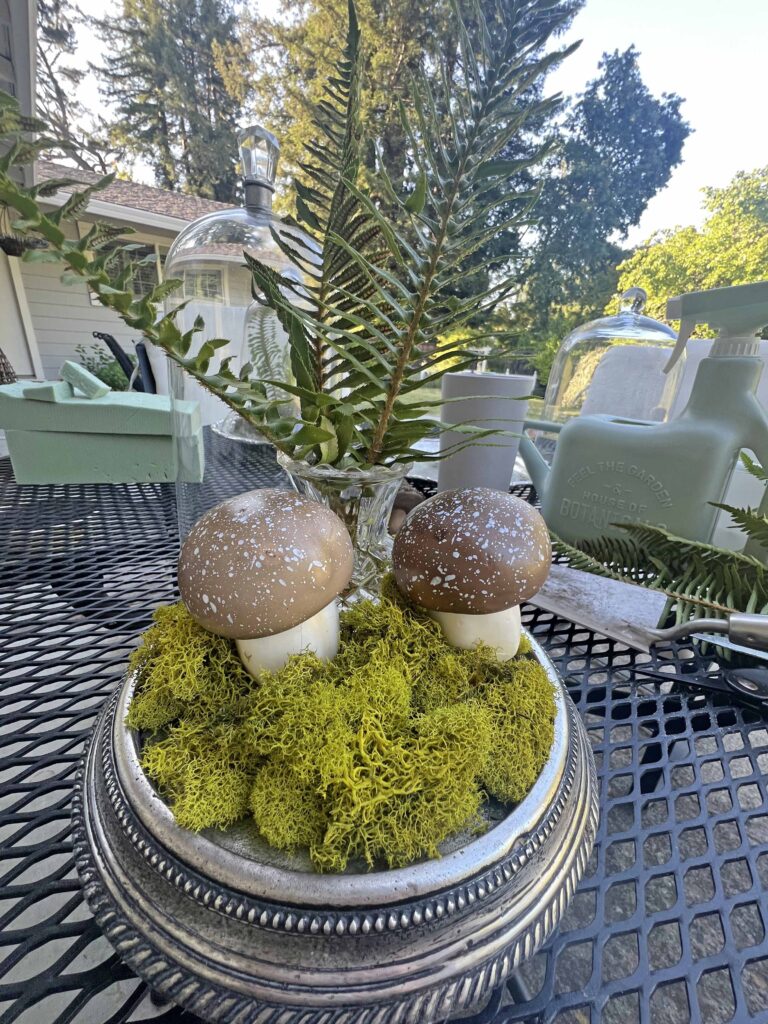 how to create a glass cloche display with fresh fern fronds