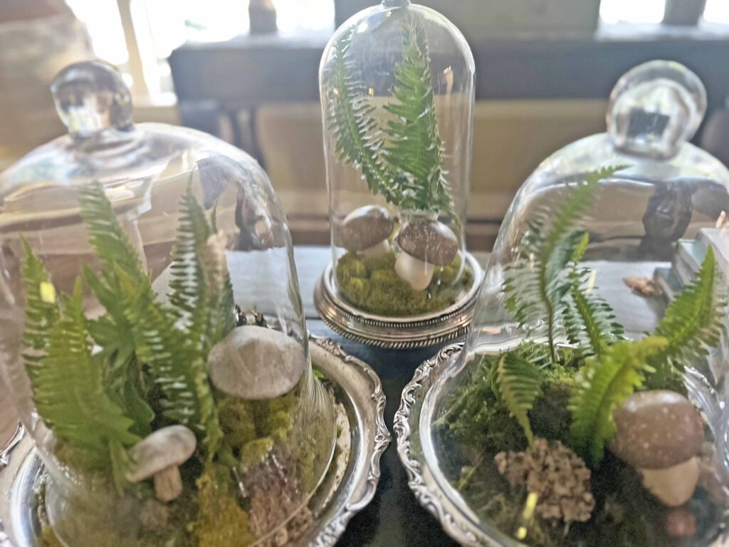 how to create a glass cloche display with fresh fern fronds