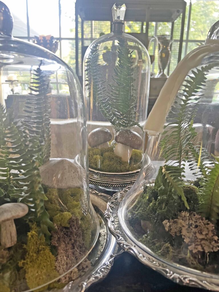 how to create a glass cloche display with fresh fern fronds