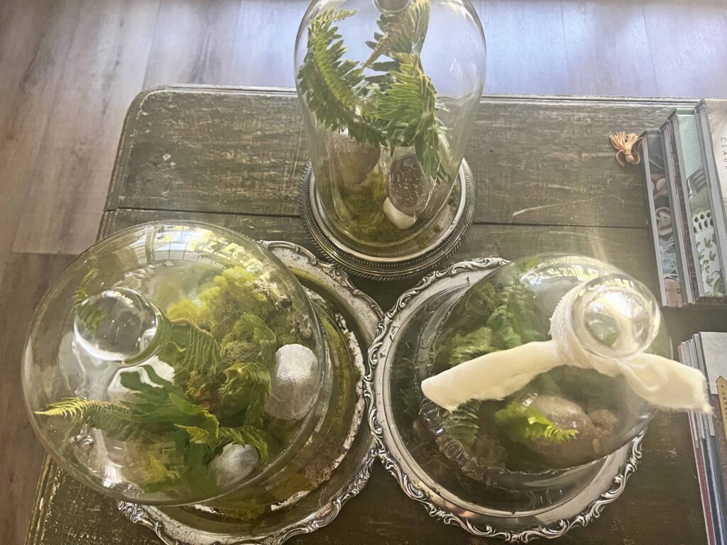how to create a glass cloche display with fresh fern fronds