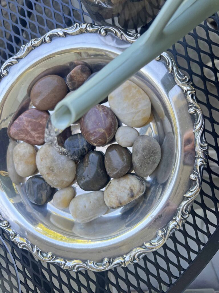 how to create a glass cloche display with fresh fern fronds
