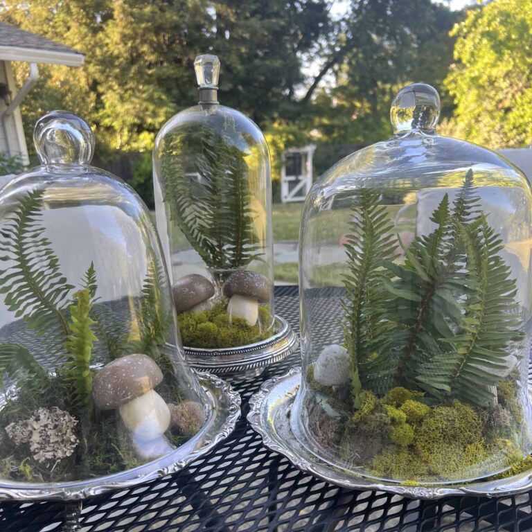 How to Create a Glass Cloche with Fern Fronds Display