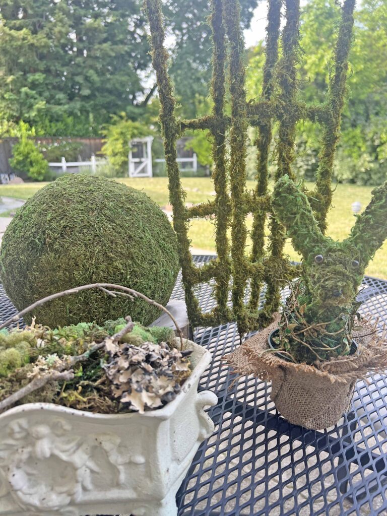 how to revive moss decor