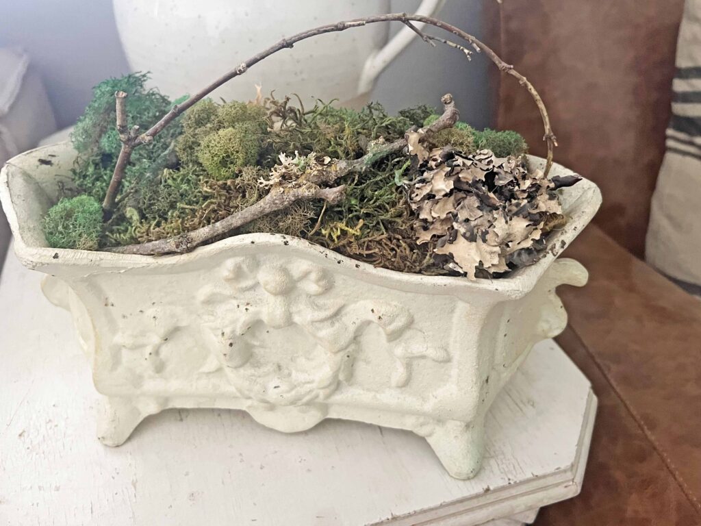 how to revive moss decor